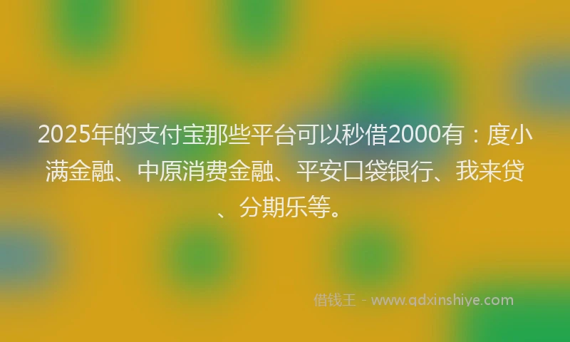 2025年的支付宝那些平台可以秒借2000有：度小满金融、中原消费金融、平安口袋银行、我来贷、分期乐等。