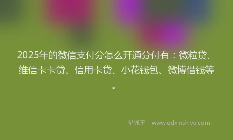 2025年的微信支付分怎么开通分付有：微粒贷、维信卡卡贷、信用卡贷、小花钱包、微博借钱等。