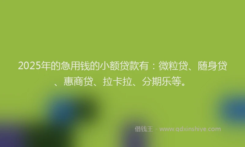 2025年的急用钱的小额贷款有：微粒贷、随身贷、惠商贷、拉卡拉、分期乐等。