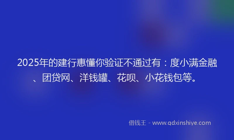 2025年的建行惠懂你验证不通过有：度小满金融、团贷网、洋钱罐、花呗、小花钱包等。