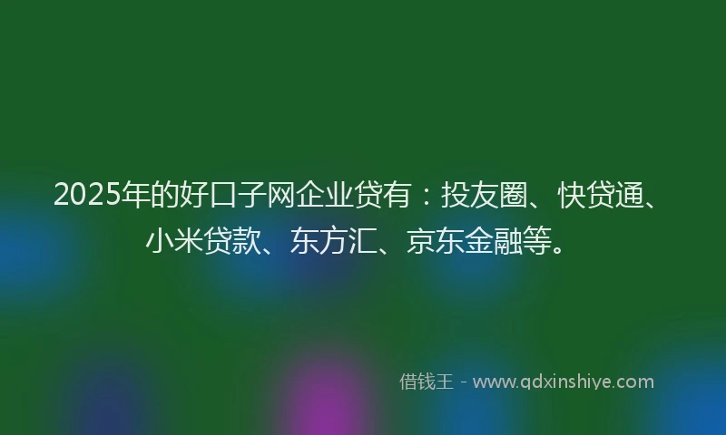 2025年的好口子网企业贷有：投友圈、快贷通、小米贷款、东方汇、京东金融等。