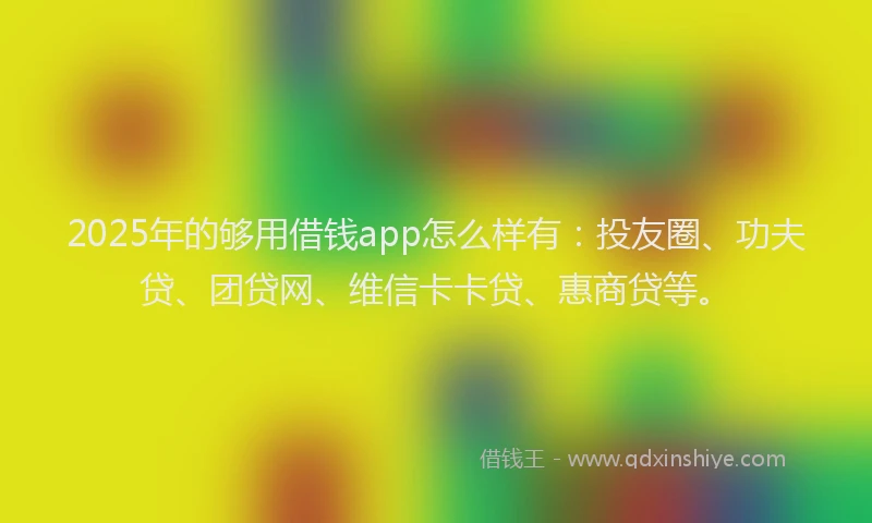 2025年的够用借钱app怎么样有：投友圈、功夫贷、团贷网、维信卡卡贷、惠商贷等。