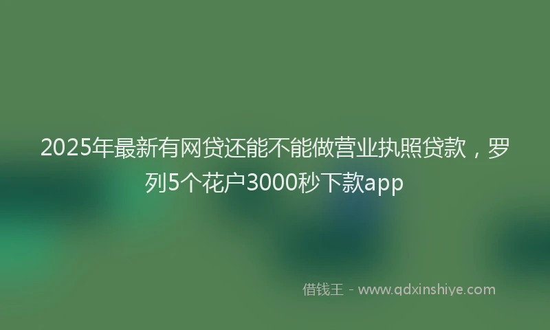 2025年最新有网贷还能不能做营业执照贷款，罗列5个花户3000秒下款app