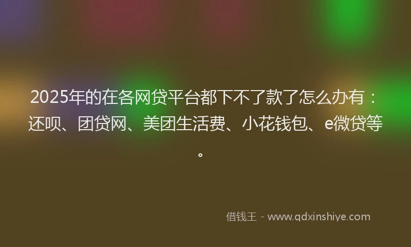 2025年的在各网贷平台都下不了款了怎么办有：还呗、团贷网、美团生活费、小花钱包、e微贷等。