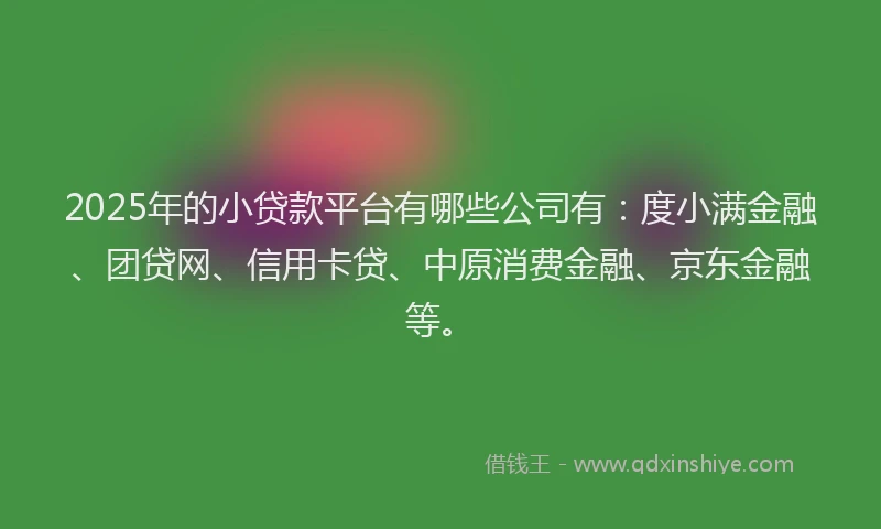 2025年的小贷款平台有哪些公司有：度小满金融、团贷网、信用卡贷、中原消费金融、京东金融等。
