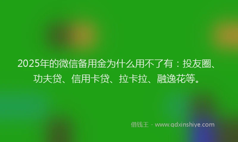 2025年的微信备用金为什么用不了有：投友圈、功夫贷、信用卡贷、拉卡拉、融逸花等。