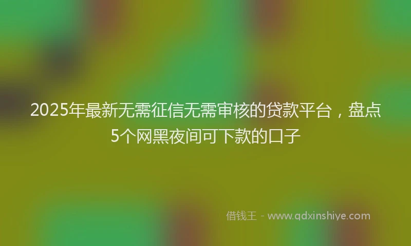 2025年最新无需征信无需审核的贷款平台，盘点5个网黑夜间可下款的口子
