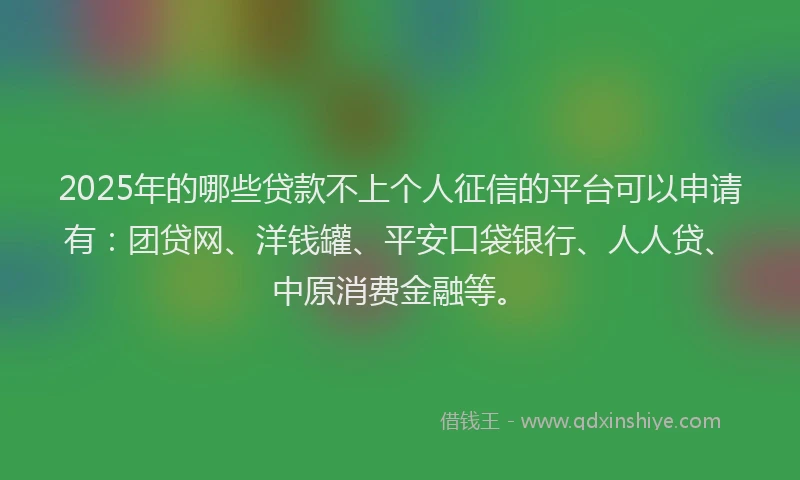 2025年的哪些贷款不上个人征信的平台可以申请有：团贷网、洋钱罐、平安口袋银行、人人贷、中原消费金融等。