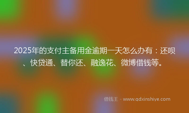 2025年的支付主备用金逾期一天怎么办有：还呗、快贷通、替你还、融逸花、微博借钱等。