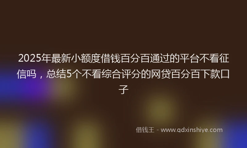 2025年最新小额度借钱百分百通过的平台不看征信吗，总结5个不看综合评分的网贷百分百下款口子