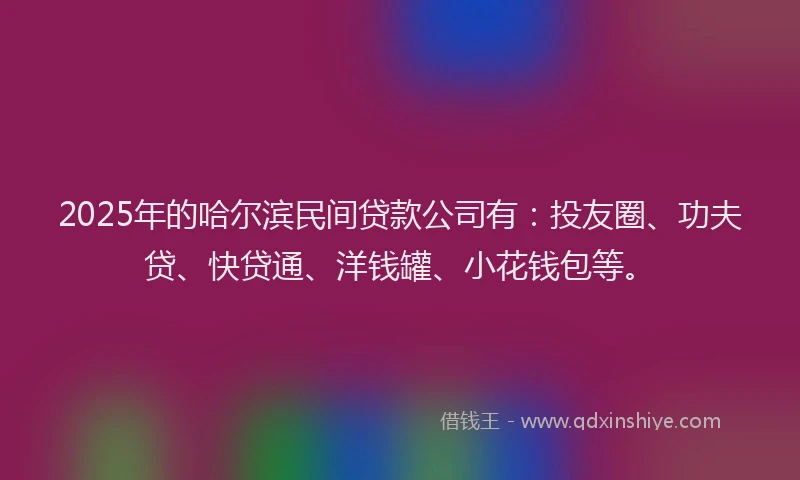 2025年的哈尔滨民间贷款公司有：投友圈、功夫贷、快贷通、洋钱罐、小花钱包等。