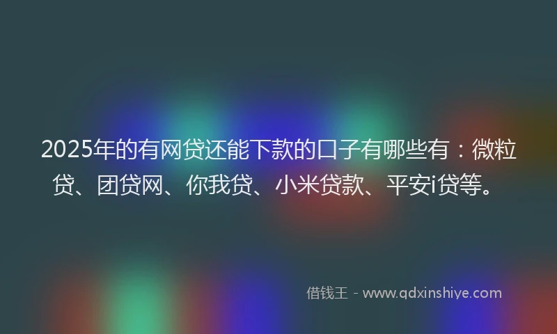 2025年的有网贷还能下款的口子有哪些有：微粒贷、团贷网、你我贷、小米贷款、平安i贷等。