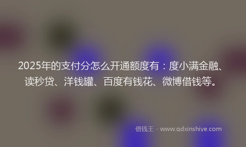 2025年的支付分怎么开通额度有：度小满金融、读秒贷、洋钱罐、百度有钱花、微博借钱等。
