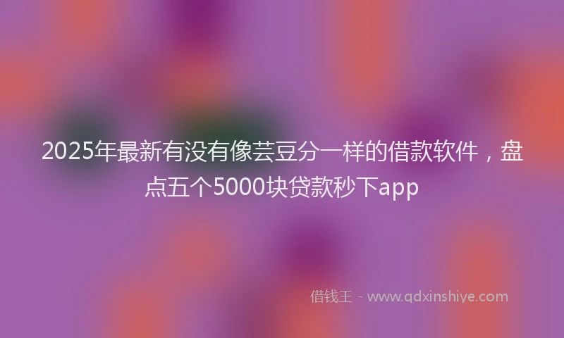 2025年最新有没有像芸豆分一样的借款软件，盘点五个5000块贷款秒下app