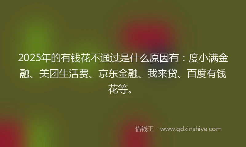 2025年的有钱花不通过是什么原因有：度小满金融、美团生活费、京东金融、我来贷、百度有钱花等。
