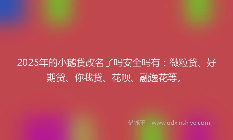2025年的小鹅贷改名了吗安全吗有：微粒贷、好期贷、你我贷、花呗、融逸花等。