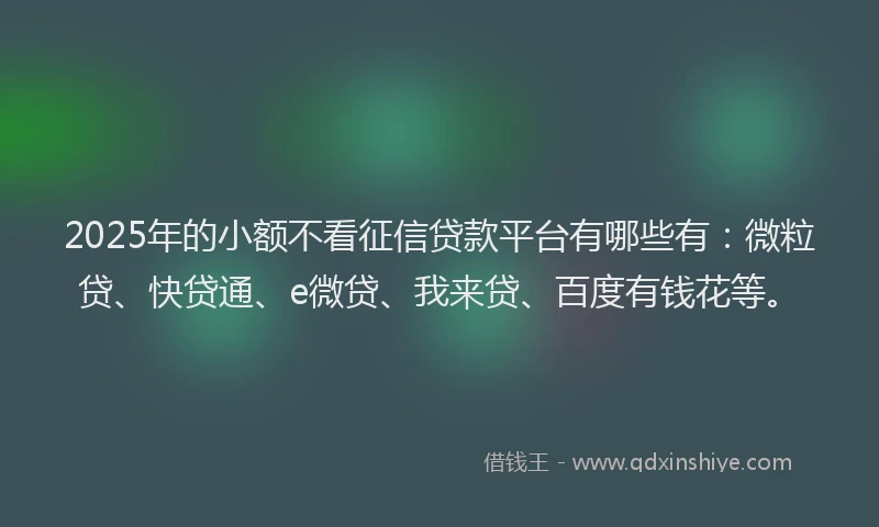 2025年的小额不看征信贷款平台有哪些有：微粒贷、快贷通、e微贷、我来贷、百度有钱花等。