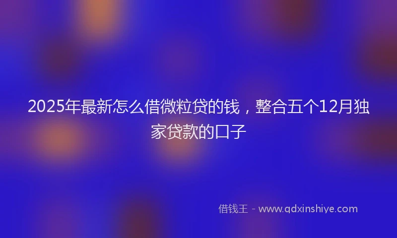 2025年最新怎么借微粒贷的钱，整合五个12月独家贷款的口子