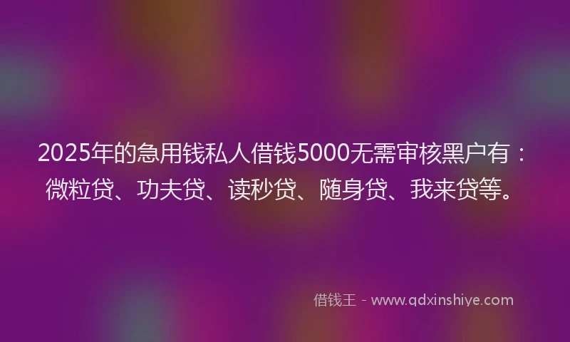2025年的急用钱私人借钱5000无需审核黑户有：微粒贷、功夫贷、读秒贷、随身贷、我来贷等。