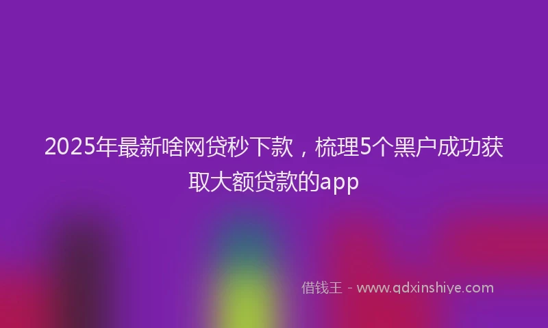 2025年最新啥网贷秒下款，梳理5个黑户成功获取大额贷款的app
