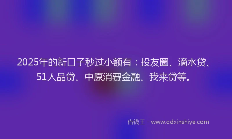 2025年的新口子秒过小额有：投友圈、滴水贷、51人品贷、中原消费金融、我来贷等。