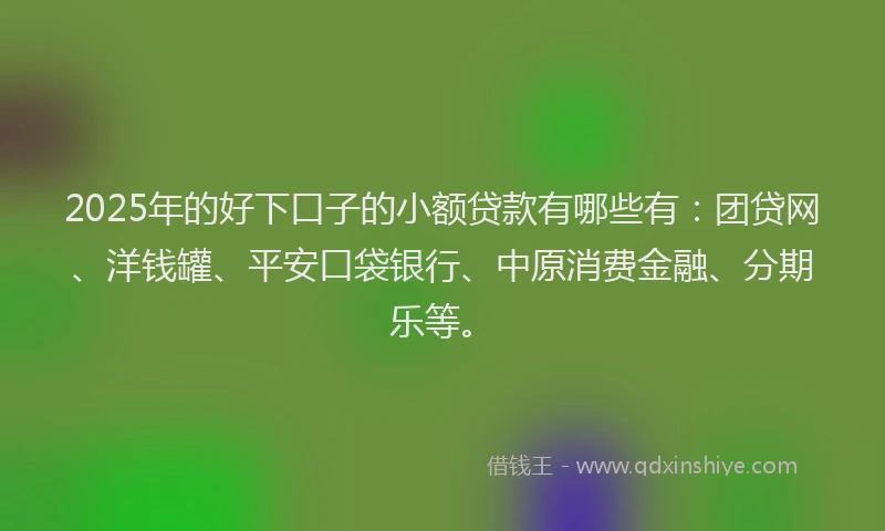2025年的好下口子的小额贷款有哪些有：团贷网、洋钱罐、平安口袋银行、中原消费金融、分期乐等。