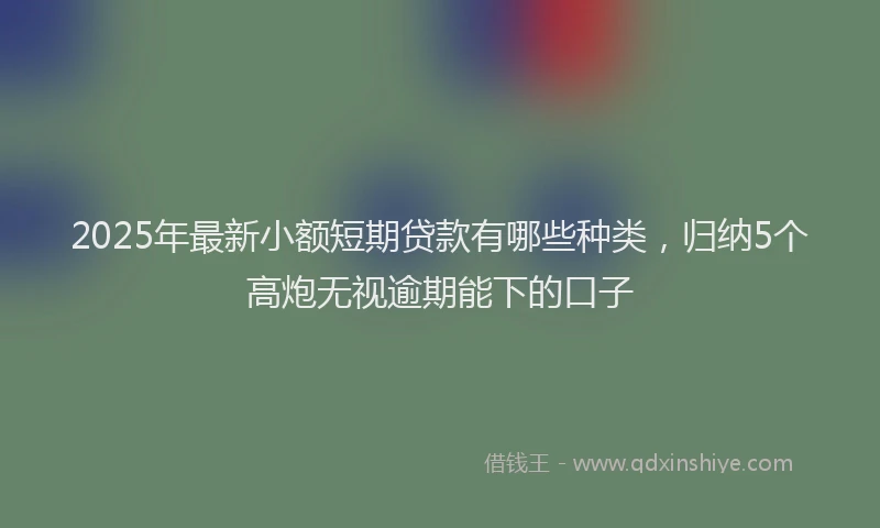 2025年最新小额短期贷款有哪些种类，归纳5个高炮无视逾期能下的口子