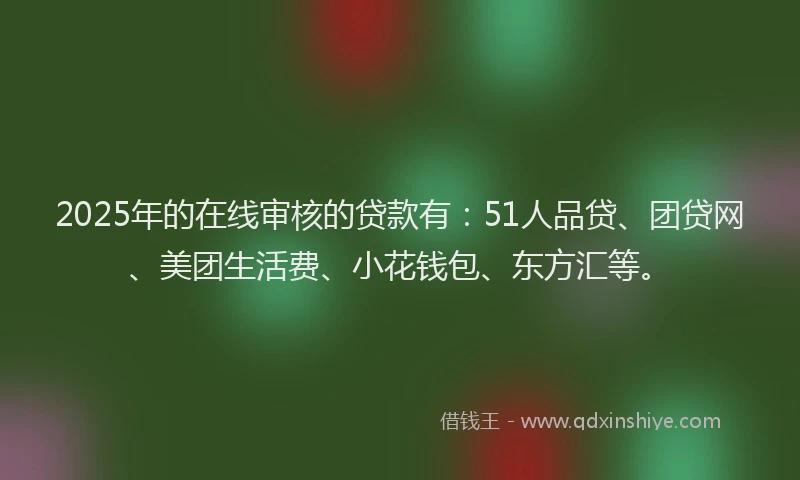 2025年的在线审核的贷款有：51人品贷、团贷网、美团生活费、小花钱包、东方汇等。