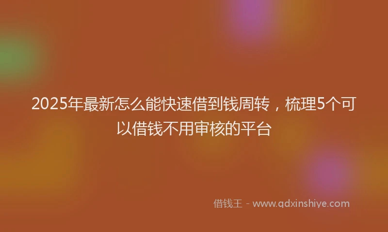 2025年最新怎么能快速借到钱周转，梳理5个可以借钱不用审核的平台