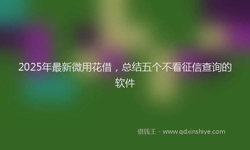 2025年最新微用花借，总结五个不看征信查询的软件