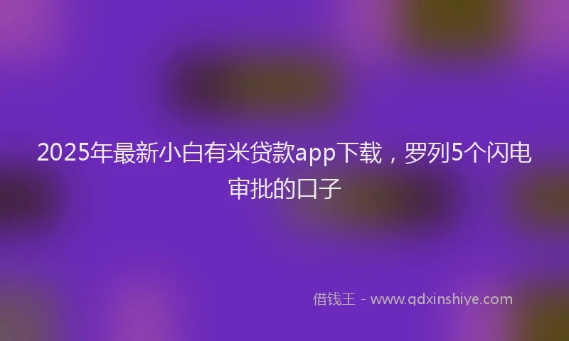 2025年最新小白有米贷款app下载，罗列5个闪电审批的口子