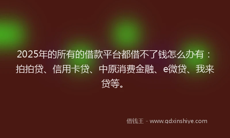 2025年的所有的借款平台都借不了钱怎么办有：拍拍贷、信用卡贷、中原消费金融、e微贷、我来贷等。
