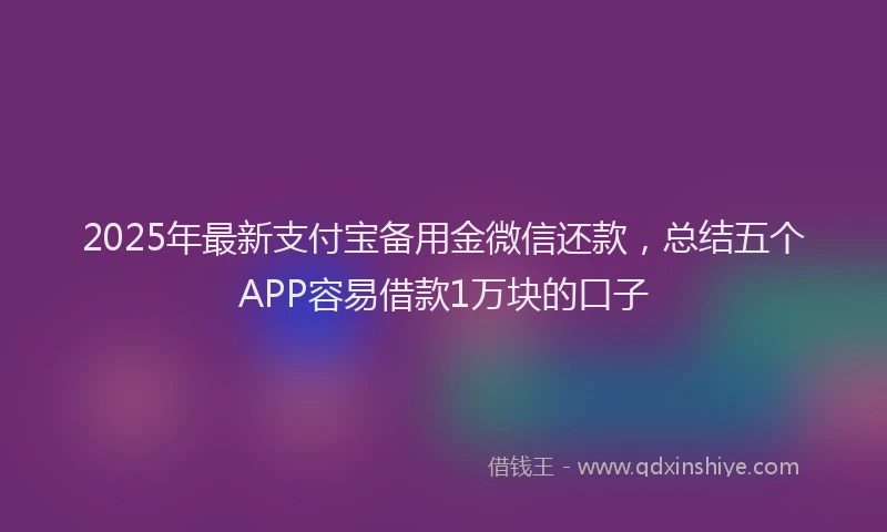 2025年最新支付宝备用金微信还款，总结五个APP容易借款1万块的口子