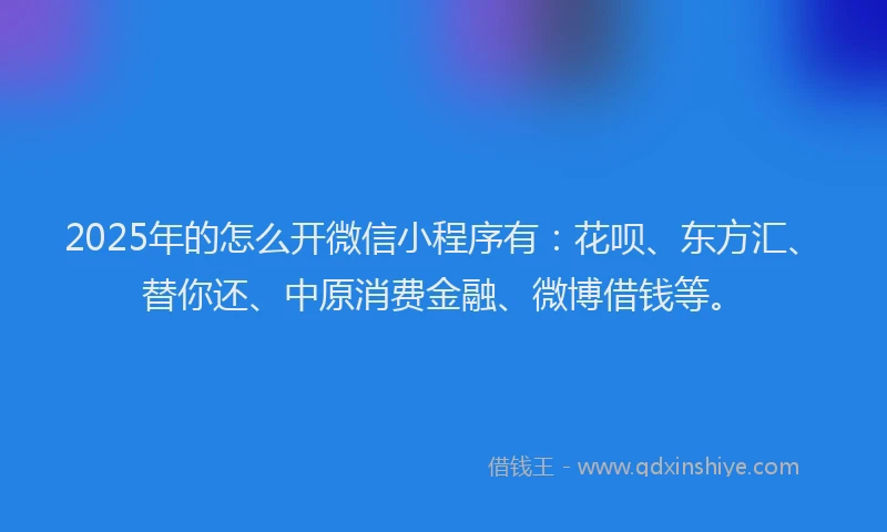 2025年的怎么开微信小程序有：花呗、东方汇、替你还、中原消费金融、微博借钱等。