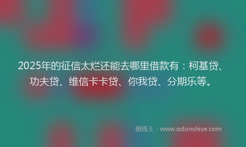 2025年的征信太烂还能去哪里借款有：柯基贷、功夫贷、维信卡卡贷、你我贷、分期乐等。