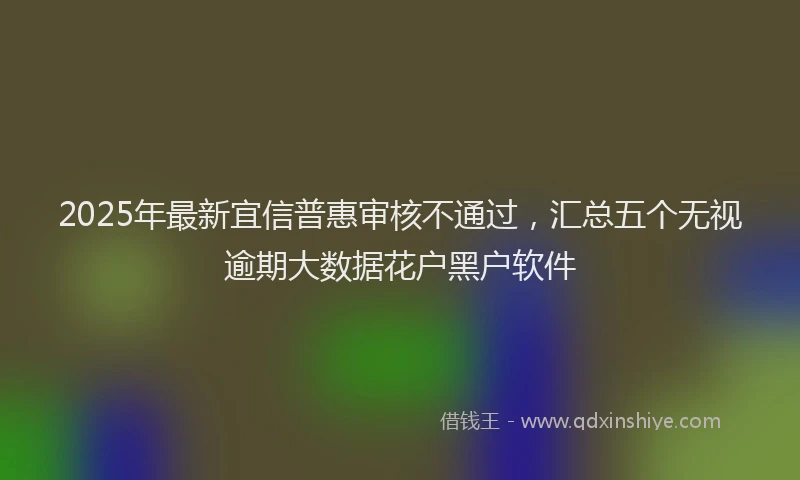 2025年最新宜信普惠审核不通过，汇总五个无视逾期大数据花户黑户软件