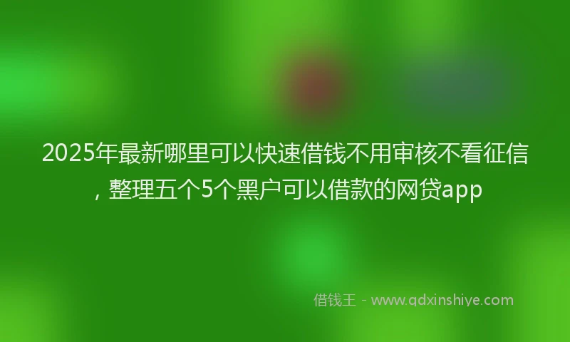 2025年最新哪里可以快速借钱不用审核不看征信，整理五个5个黑户可以借款的网贷app