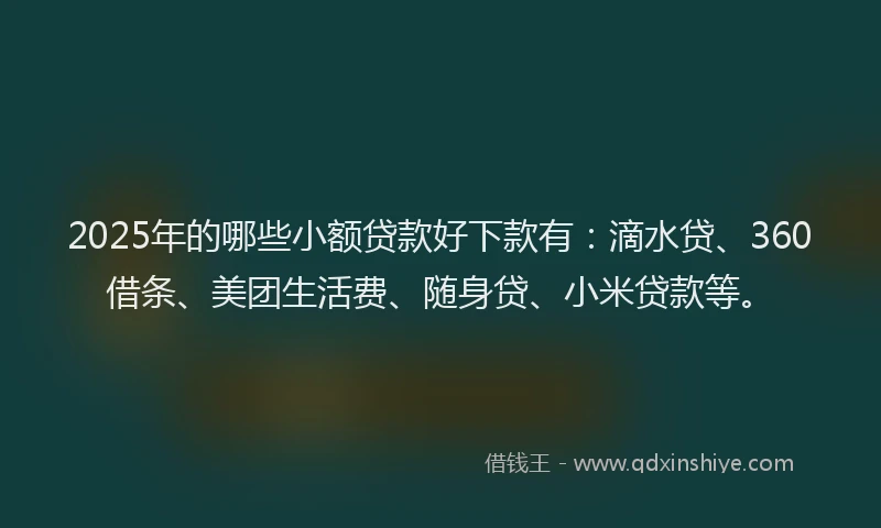 2025年的哪些小额贷款好下款有：滴水贷、360借条、美团生活费、随身贷、小米贷款等。