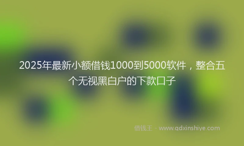 2025年最新小额借钱1000到5000软件，整合五个无视黑白户的下款口子