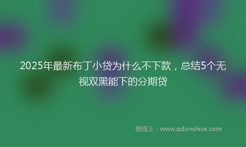 2025年最新布丁小贷为什么不下款，总结5个无视双黑能下的分期贷