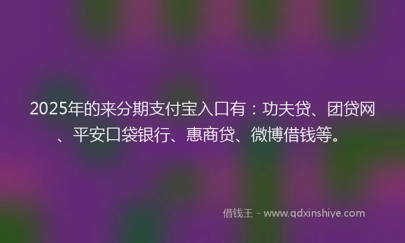 2025年的来分期支付宝入口有：功夫贷、团贷网、平安口袋银行、惠商贷、微博借钱等。