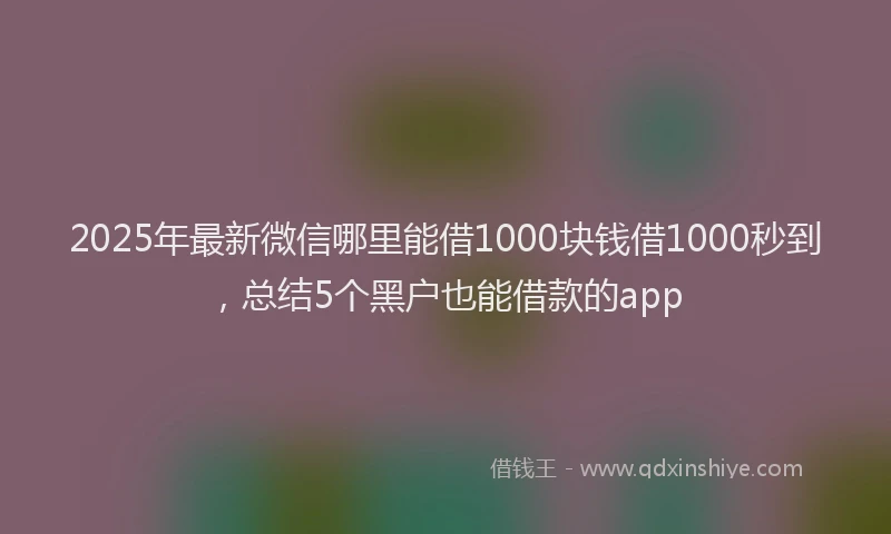 2025年最新微信哪里能借1000块钱借1000秒到，总结5个黑户也能借款的app
