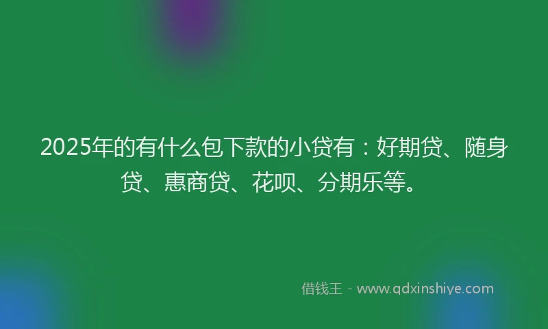 2025年的有什么包下款的小贷有：好期贷、随身贷、惠商贷、花呗、分期乐等。
