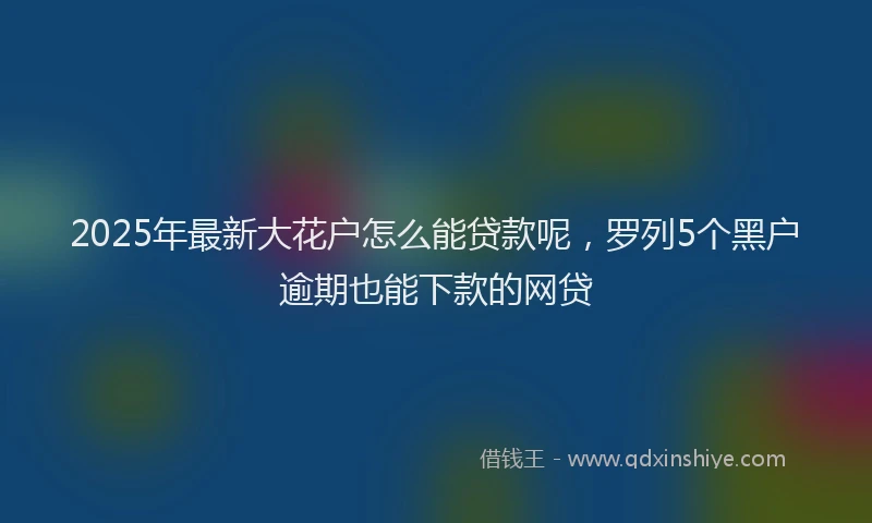 2025年最新大花户怎么能贷款呢，罗列5个黑户逾期也能下款的网贷