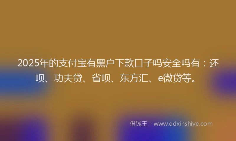 2025年的支付宝有黑户下款口子吗安全吗有：还呗、功夫贷、省呗、东方汇、e微贷等。