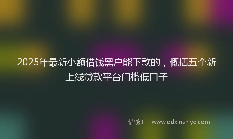 2025年最新小额借钱黑户能下款的，概括五个新上线贷款平台门槛低口子