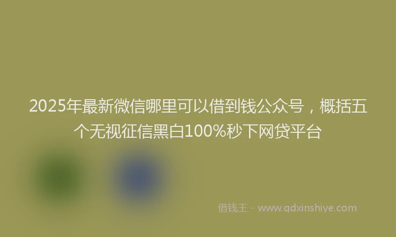 2025年最新微信哪里可以借到钱公众号，概括五个无视征信黑白100%秒下网贷平台
