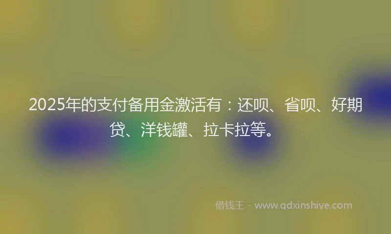 2025年的支付备用金激活有：还呗、省呗、好期贷、洋钱罐、拉卡拉等。
