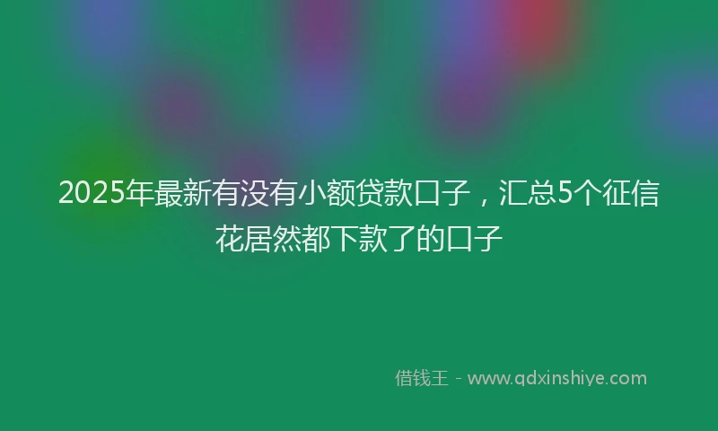 2025年最新有没有小额贷款口子，汇总5个征信花居然都下款了的口子