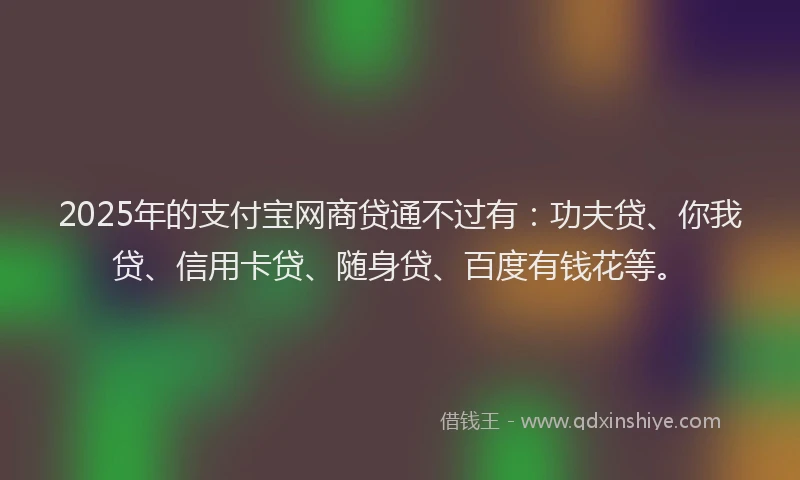 2025年的支付宝网商贷通不过有：功夫贷、你我贷、信用卡贷、随身贷、百度有钱花等。